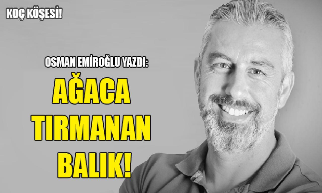 Osman Emiroğlu yazdı: Ağaca Tırmanan Balık! 