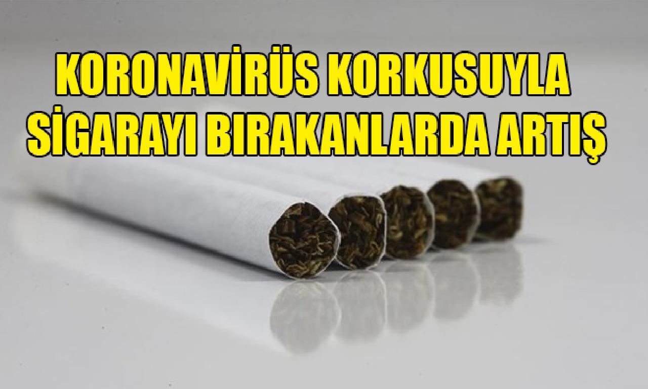 Koronavirüs korkusuyla cıgara bırakma oranı arttı 