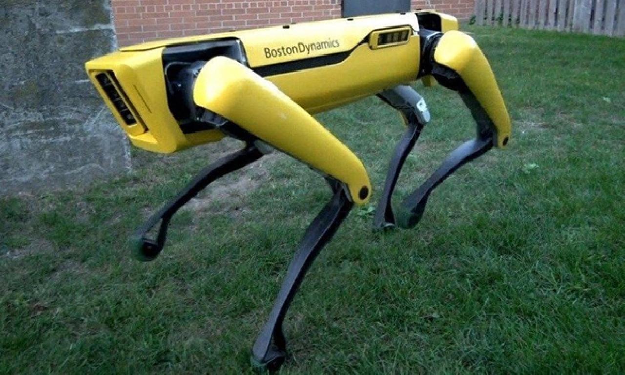 Boston Dynamics'in robot köpeği fabrikada çalışacak 