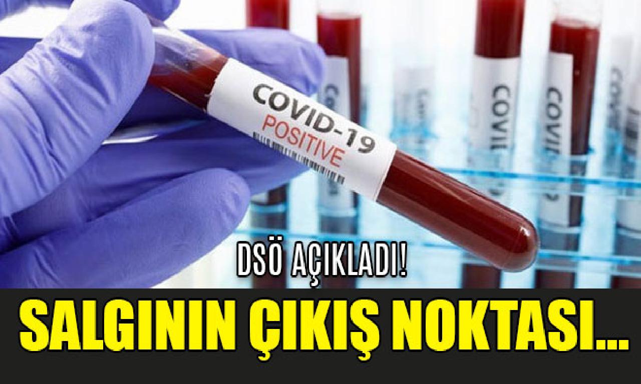 DSÖ: Salgının çıkış noktası Vuhan olmayabilir 