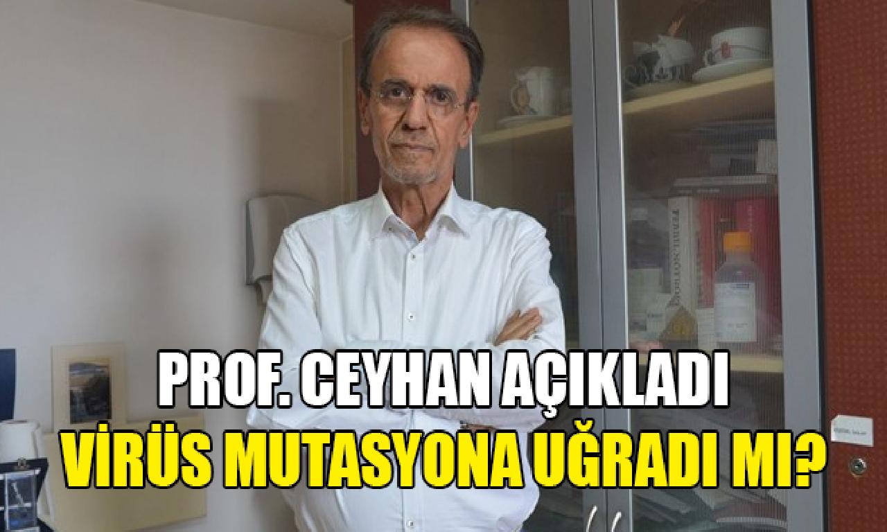 Prof. Dr. Ceyhan: Virüsün davranışını değiştirecek değişinim olmadı 