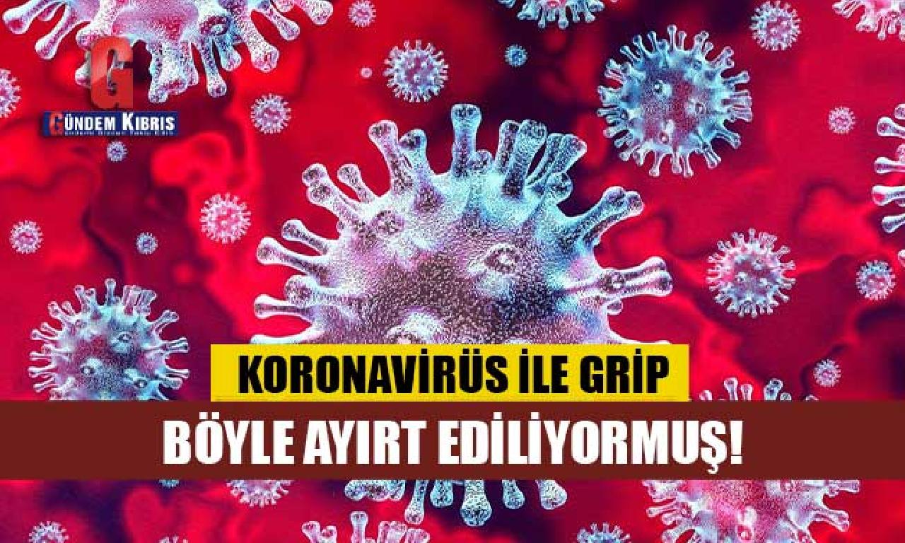 Grip, Nezle dahi Soğuk Algınlığı Koronavirüsten Nasıl Ayırt Edilir? 