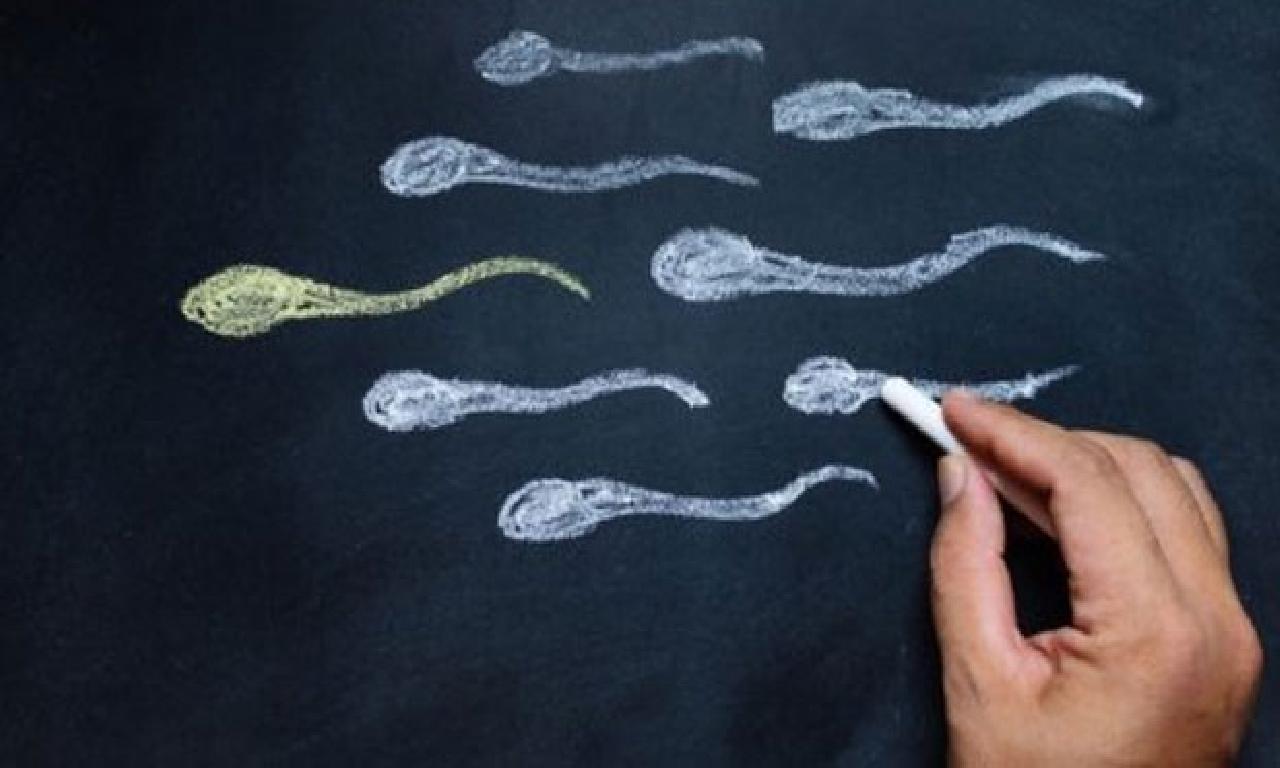 Sperm sayısını artırmanın 9 yolu 