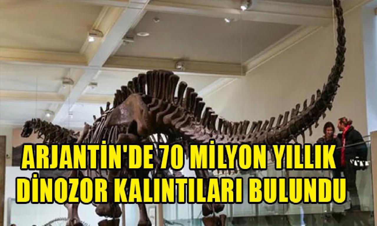 Arjantin'de 70 1000000 yıllık dinazor kalıntıları bulundu 