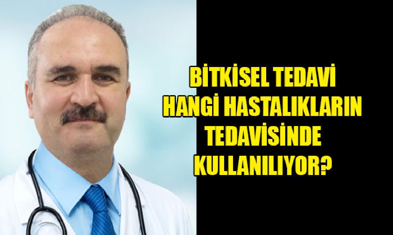 Bitkisel Tedavi Hangi Hastalıkların Tedavisinde Kullanılıyor? 