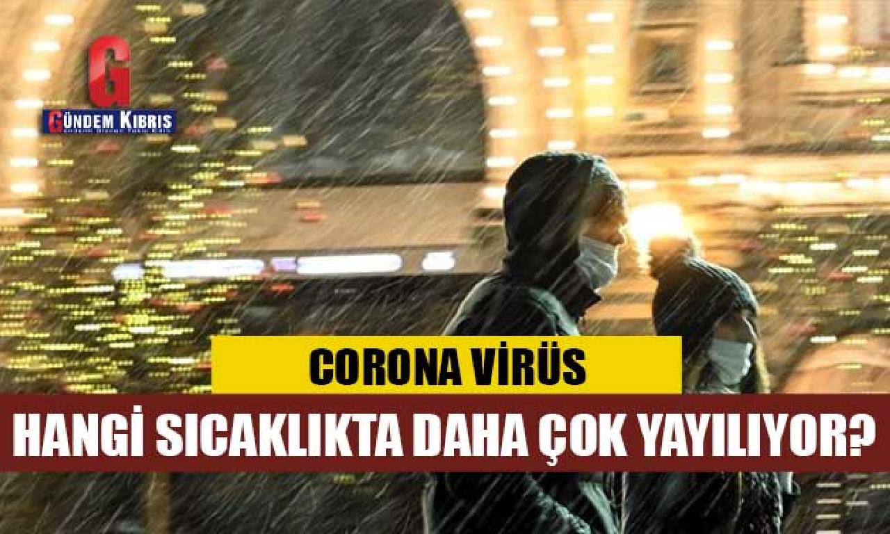 Araştırma: Corona virüs ne sıcaklıkta henüz çok yayılıyor? 