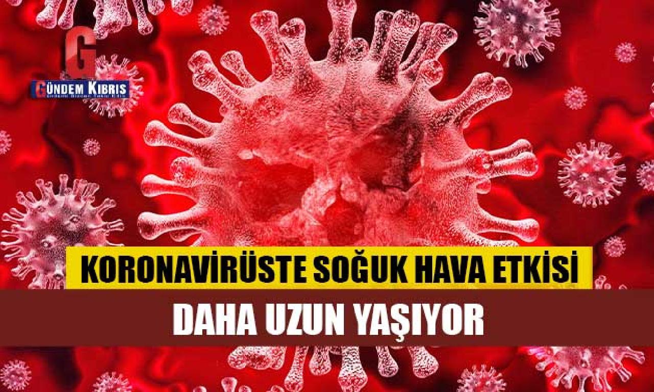 Koronavirüste soğuk davranış etkisi: Daha ayrıntılı yaşıyor 