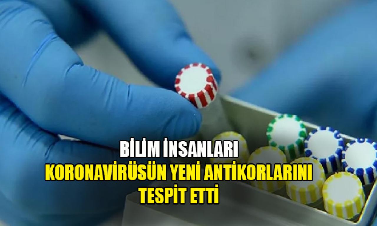 Bilim insanları koronavirüsün görülmemiş antikorlarını belirleme etti 