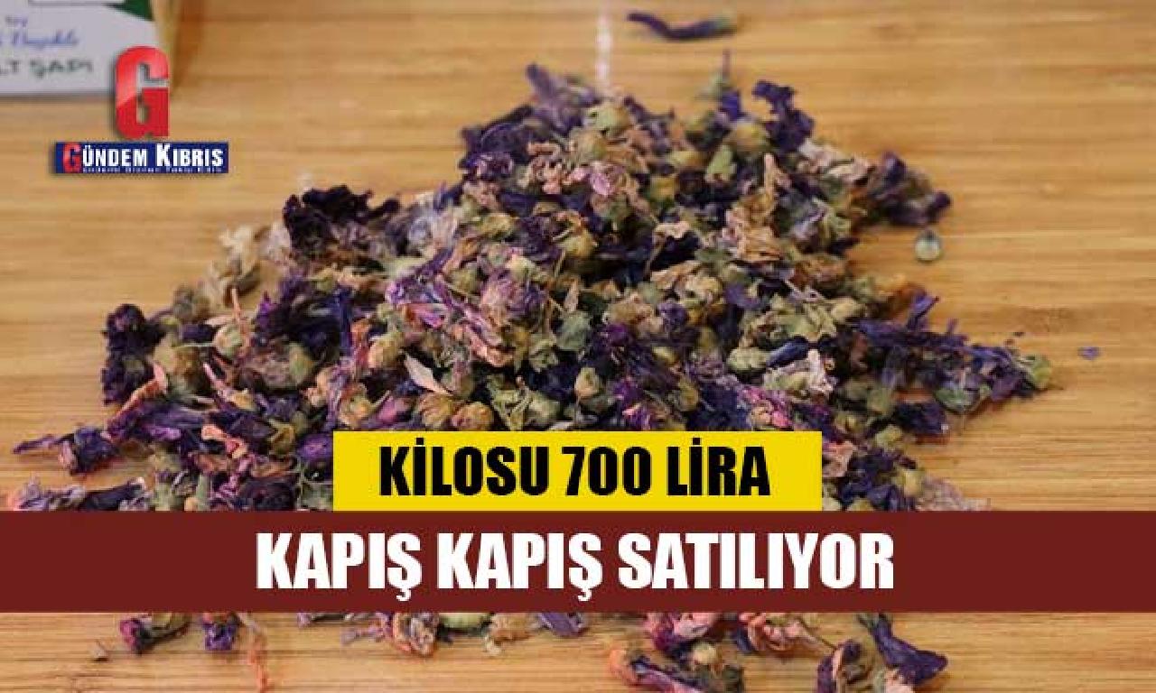 Kilosu 700 lira, kapış kapış satılıyor 