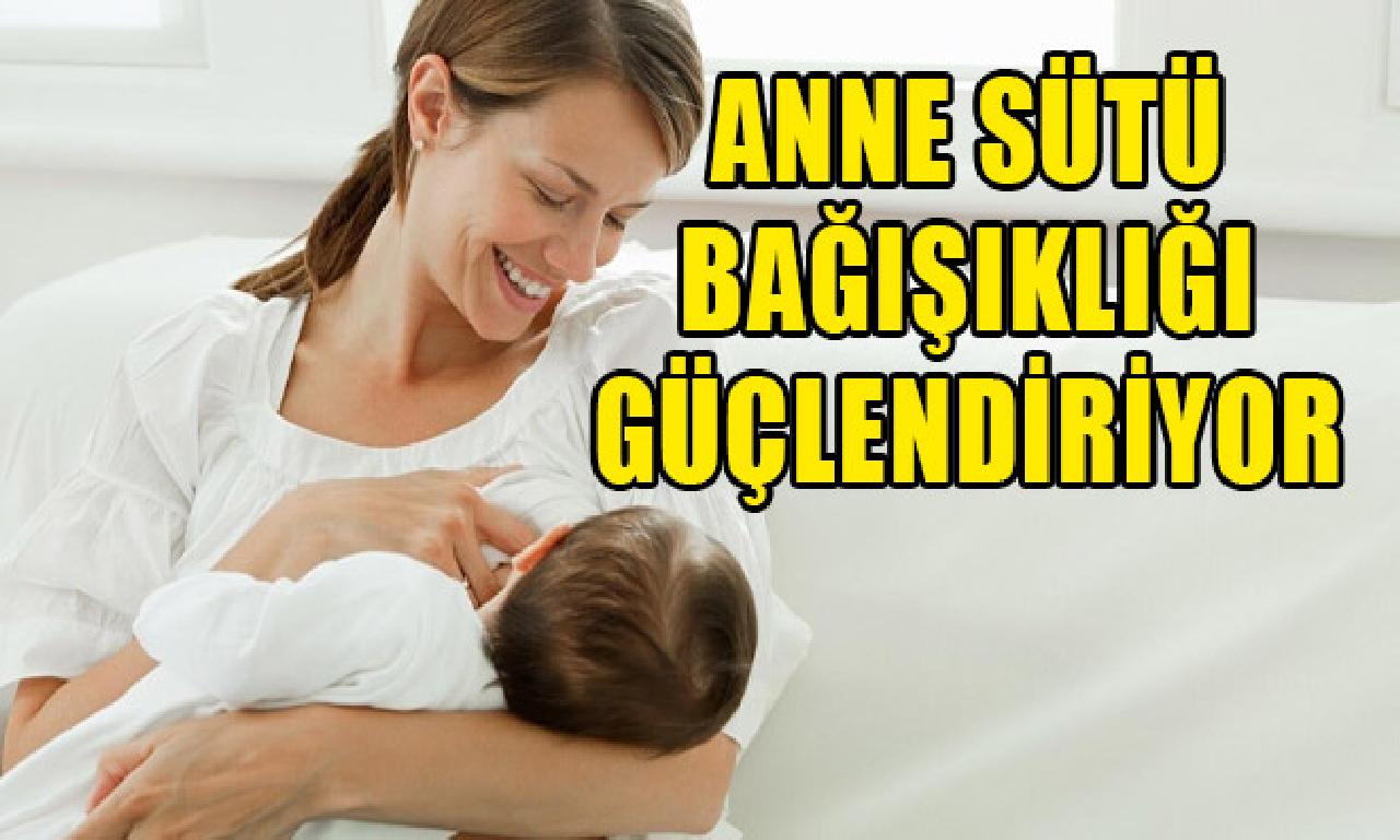 Anne sütü bağışıklık sistemini güçlendiriyor 