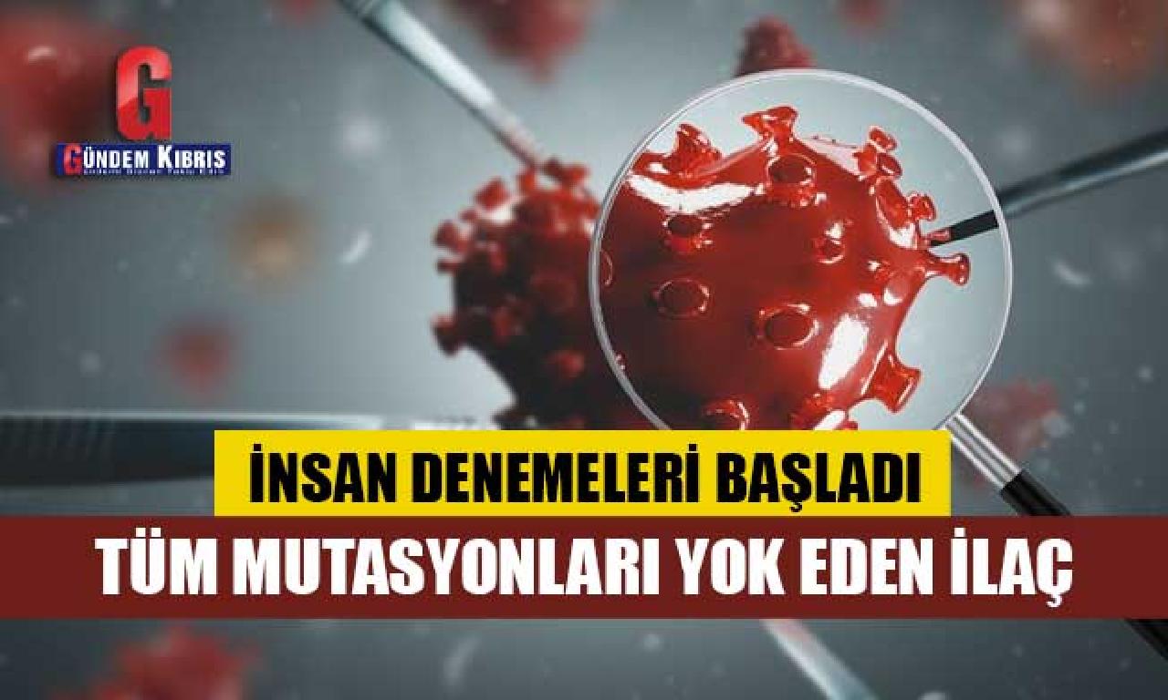 Corona virüsün tüm mutasyonlarını tesirsiz ağıl getirebilen antikor ilacı memelilerden denemelerine başladı: LY-CoV1404 