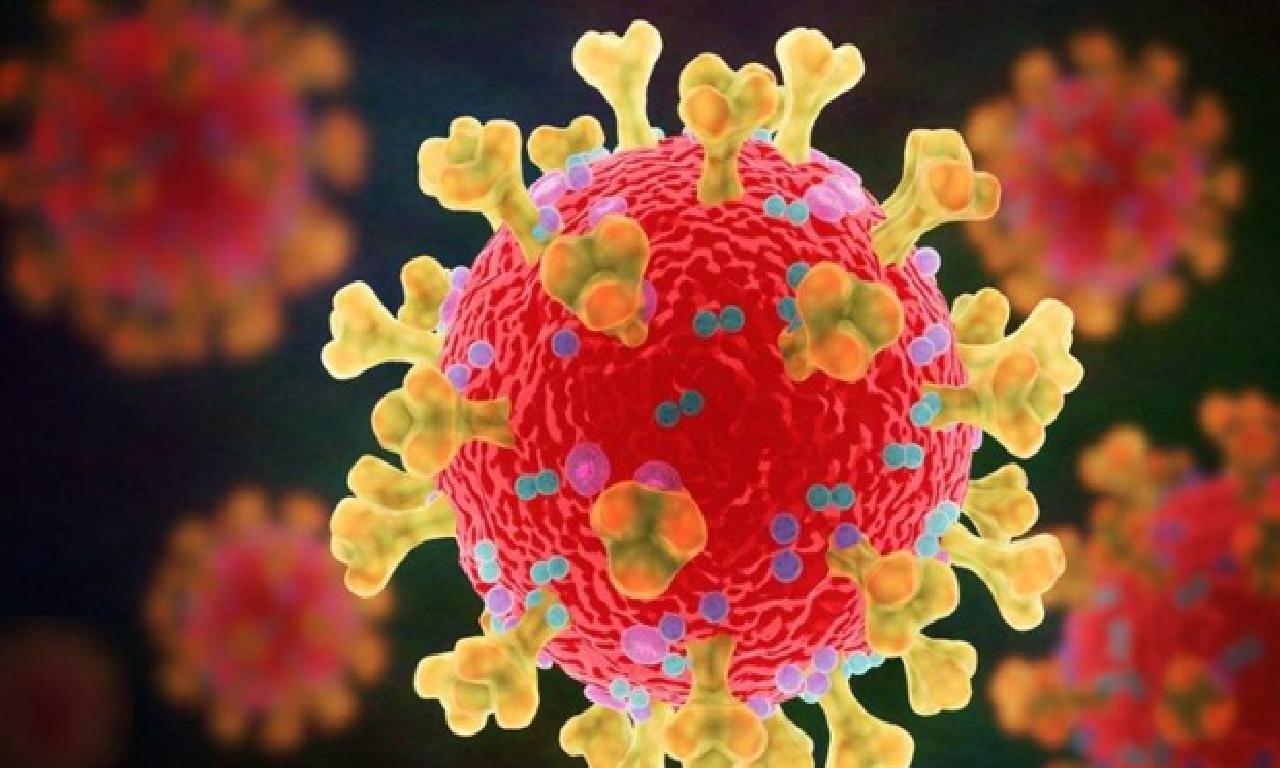 Corona virüsü aşısında büyük umut: Bilim insanları soy pıhtısı sorununu çözüyor 