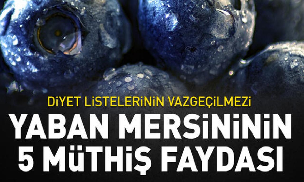 Diyet listelerinin vazgeçilmezi el mersinin 5 müthiş faydası! 