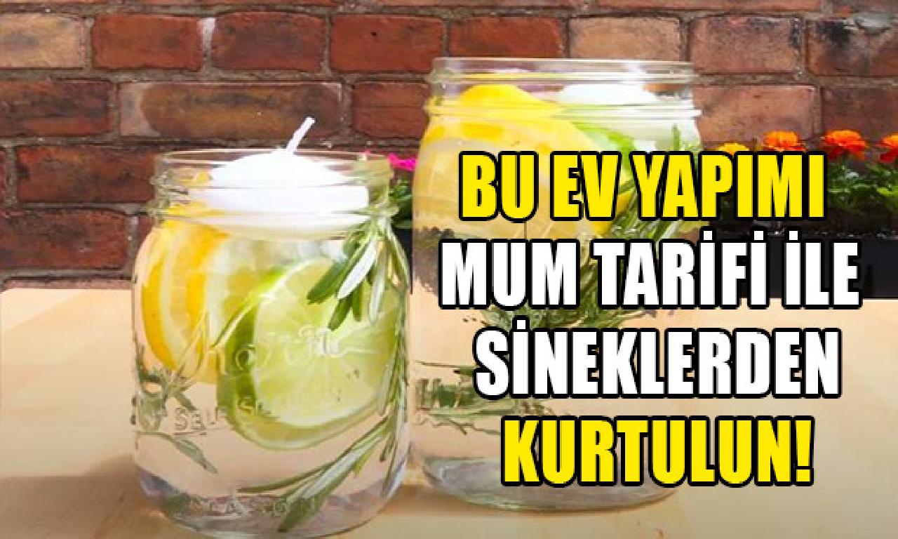 Sinek kovucu bezemsel içyağı tarifi 