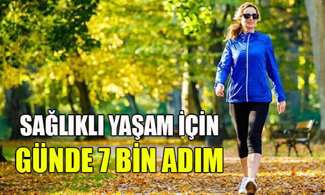 Günde 7 1000 adım göndermek henüz ayrıntılı dahi sağlıklı tek yaşam sunuyor 