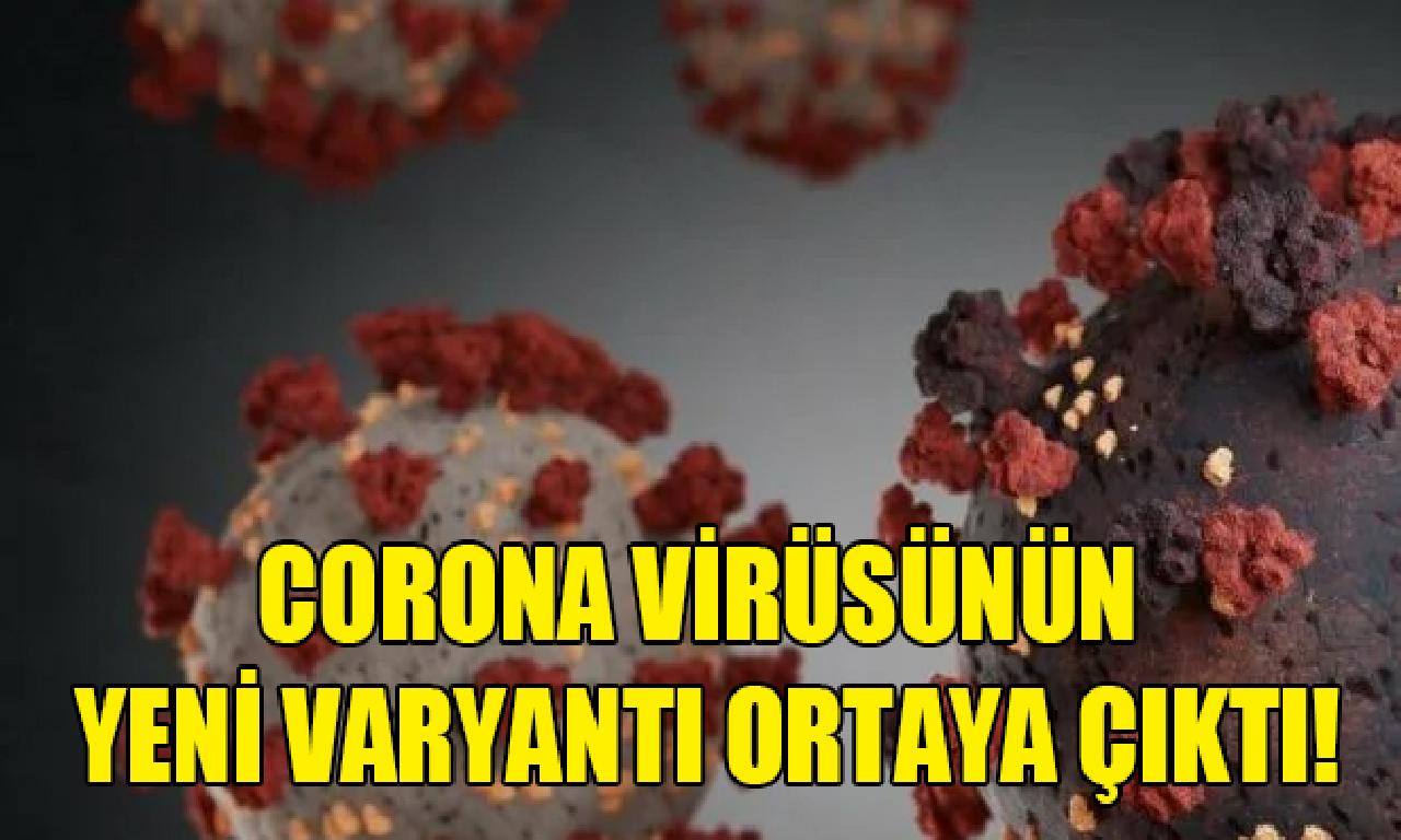 Corona virüsünün görülmemiş varyantı bulundu 