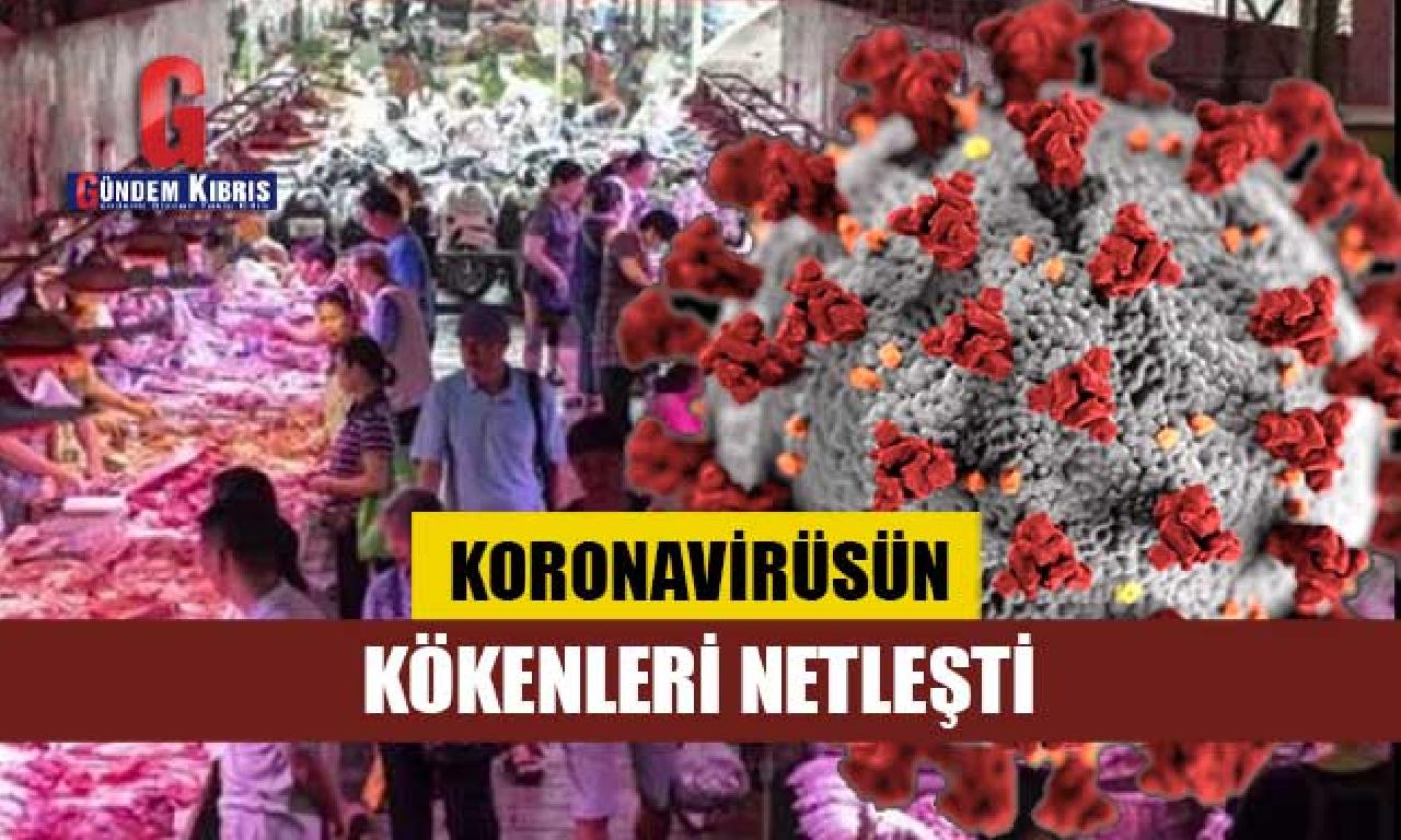 Corona virüsün kökenleri netleşti 