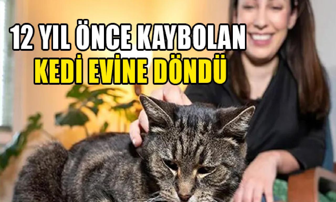 12 yıl önce kaybolan kedigillerden evcil döndü 