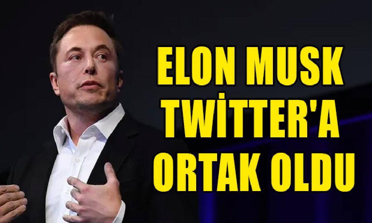 Elon Musk Twitter'a şerik evet 