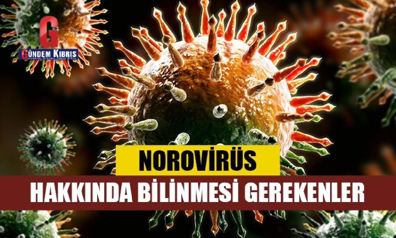 Norovirüs hakkında bilinmesi levazımat 