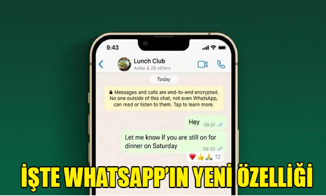 Artık WhatsApp mesajlarına tüm emojilerle aksülâmel verebilirsiniz 