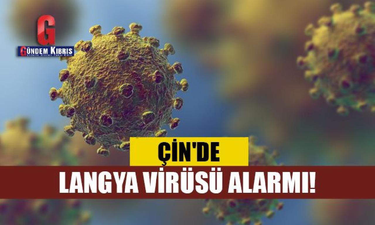 Çin'de Langya virüsü alarmı! 