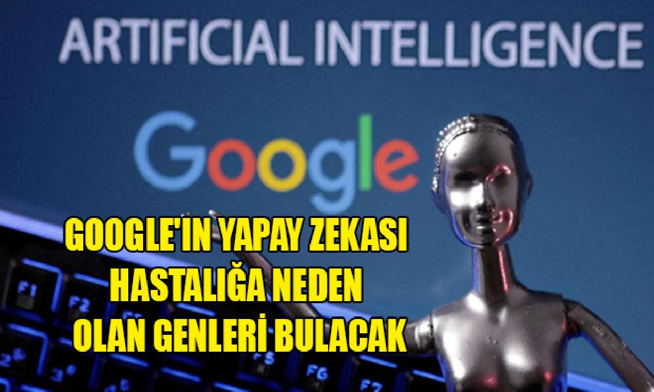 Google'ın sun'î zekası hastalığa sebep çoban genleri bulacak 