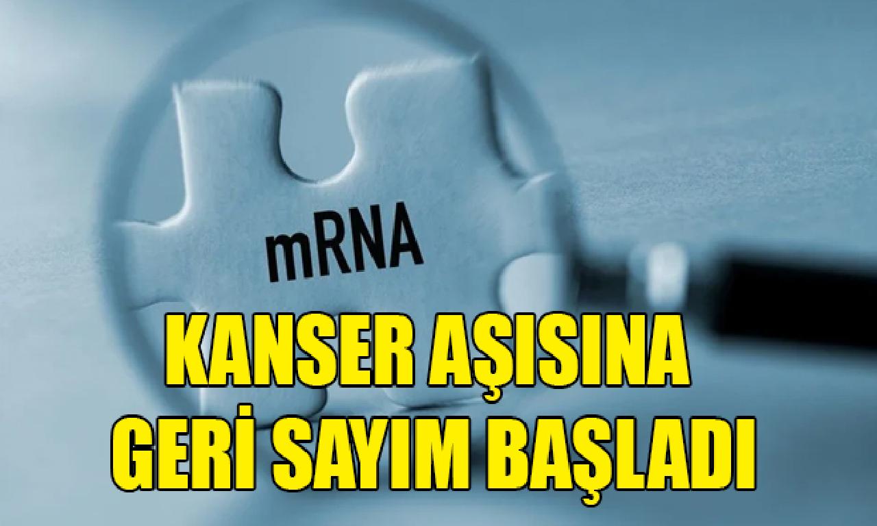 Kanser aşısına arka sayım başladı 