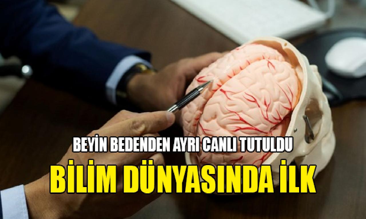 Bilim insanları bedenden bağımsız çoban ince zar canlı tutmayı başardı 