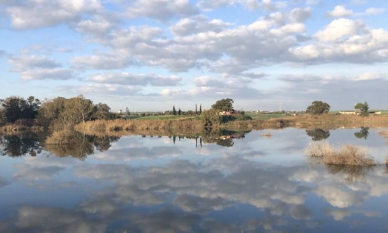Ayluga Göleti'nde yarın kuş gözlemi ve çevre temizliği